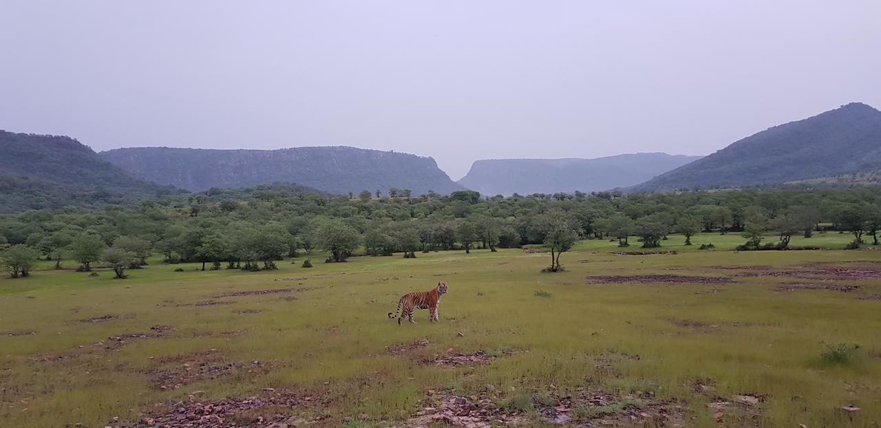 Travel Soul Bed & Breakfast Sawai Madhopur Buitenkant foto